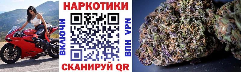 A PVP Альметьевск