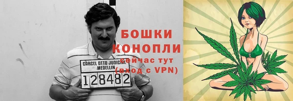 крисы Елабуга