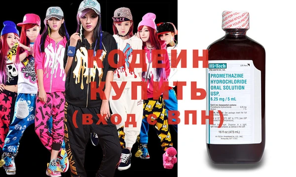 крисы Елабуга