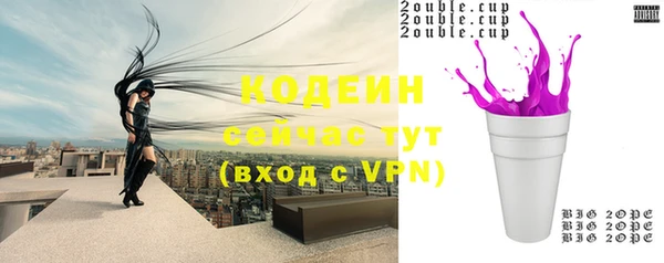 крисы Елабуга