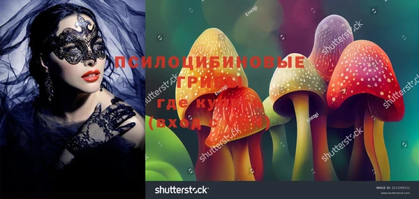 тгк Заволжск